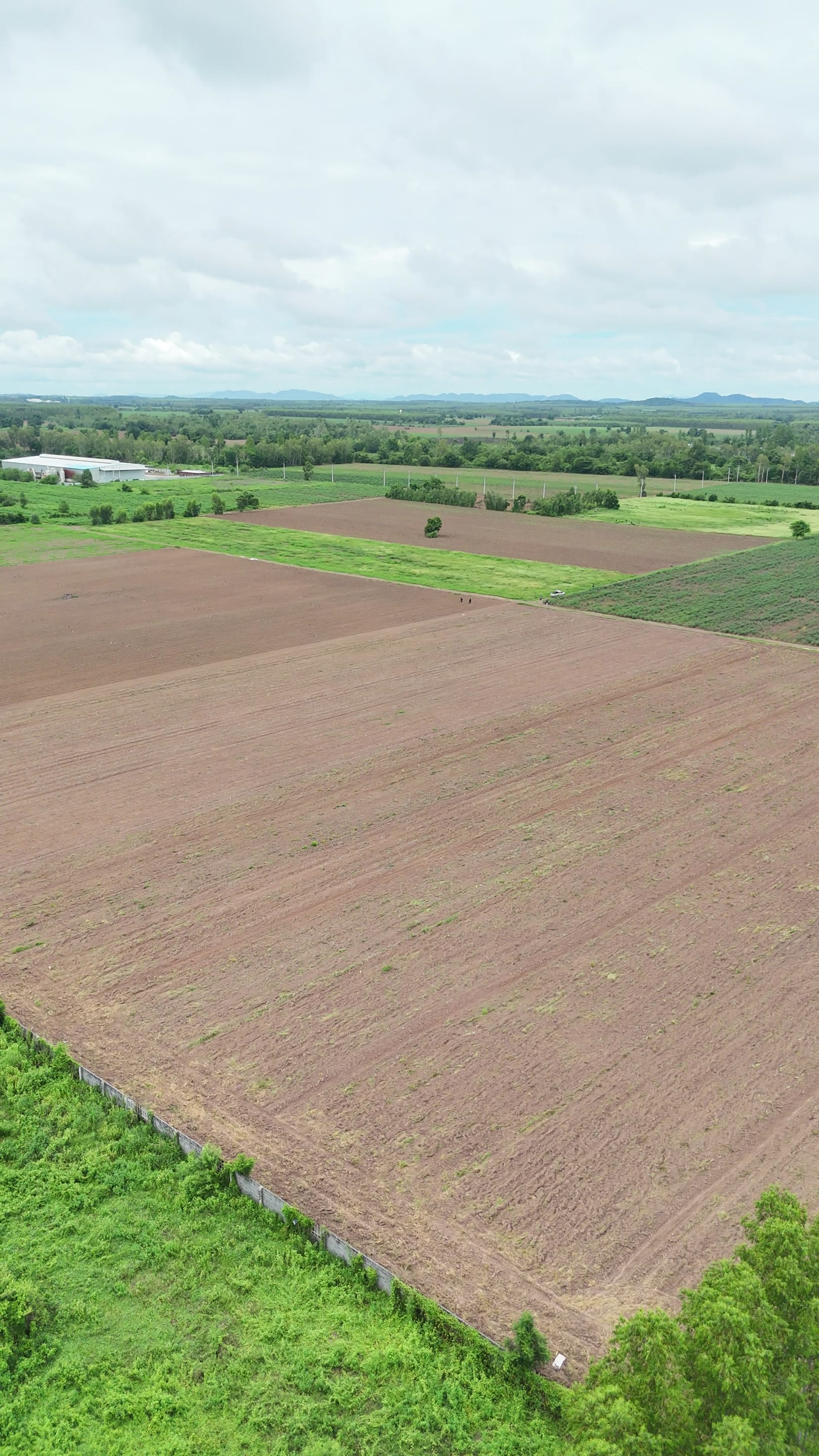 Drone Aerial